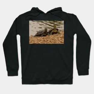 Red-eared Sliders Hoodie